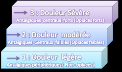 palier-douleur.png